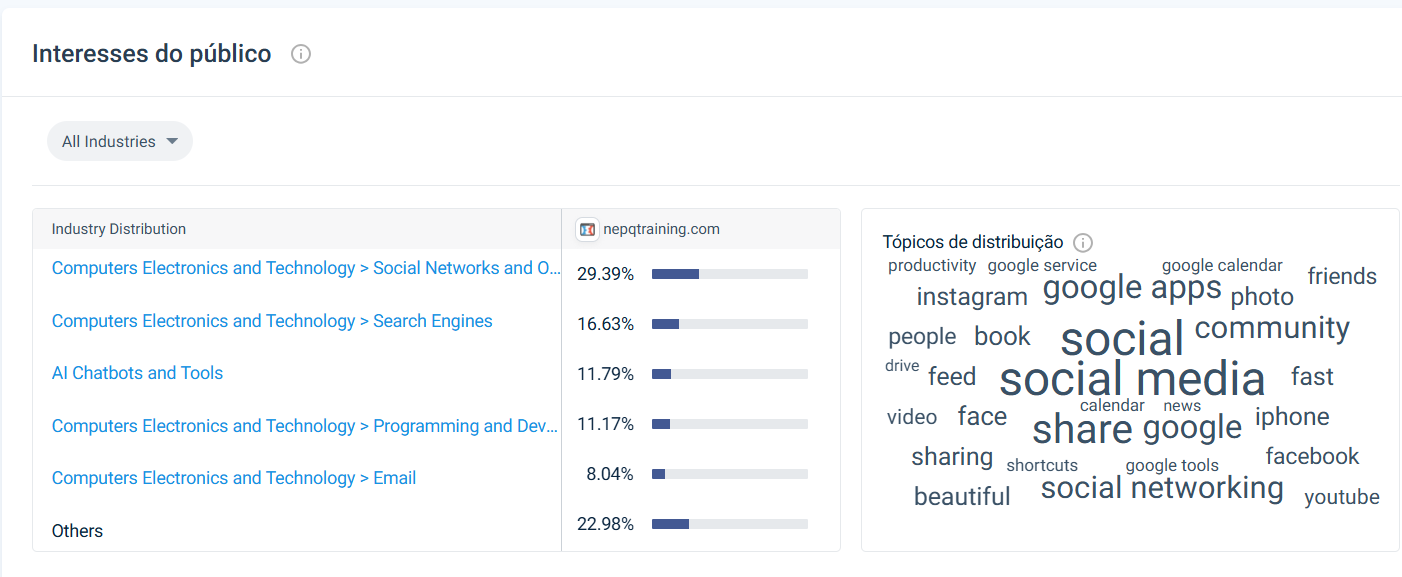 Industry distribution: Social Networks 29%, Search Engines 17%, AI Chatbots & Tools 12%, Programming 11%, Email 8%